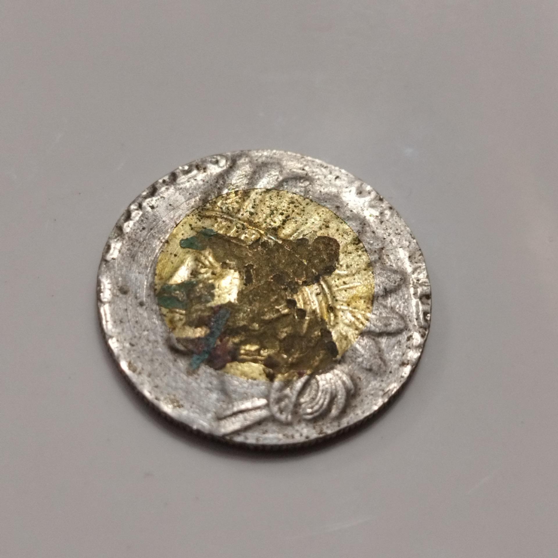 سکه یادبود سرخپوست آمریکایی