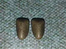 یک