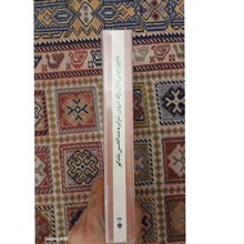 تکاپوی