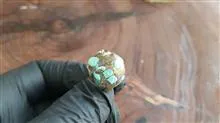 جفت