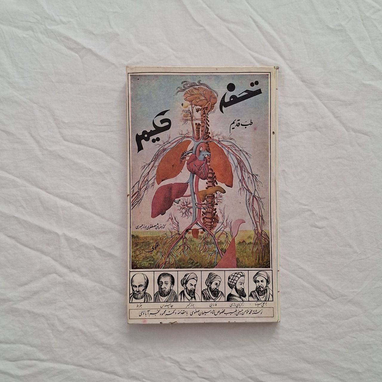 تخفه حکیم طب قدیم