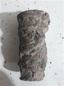 فسیل