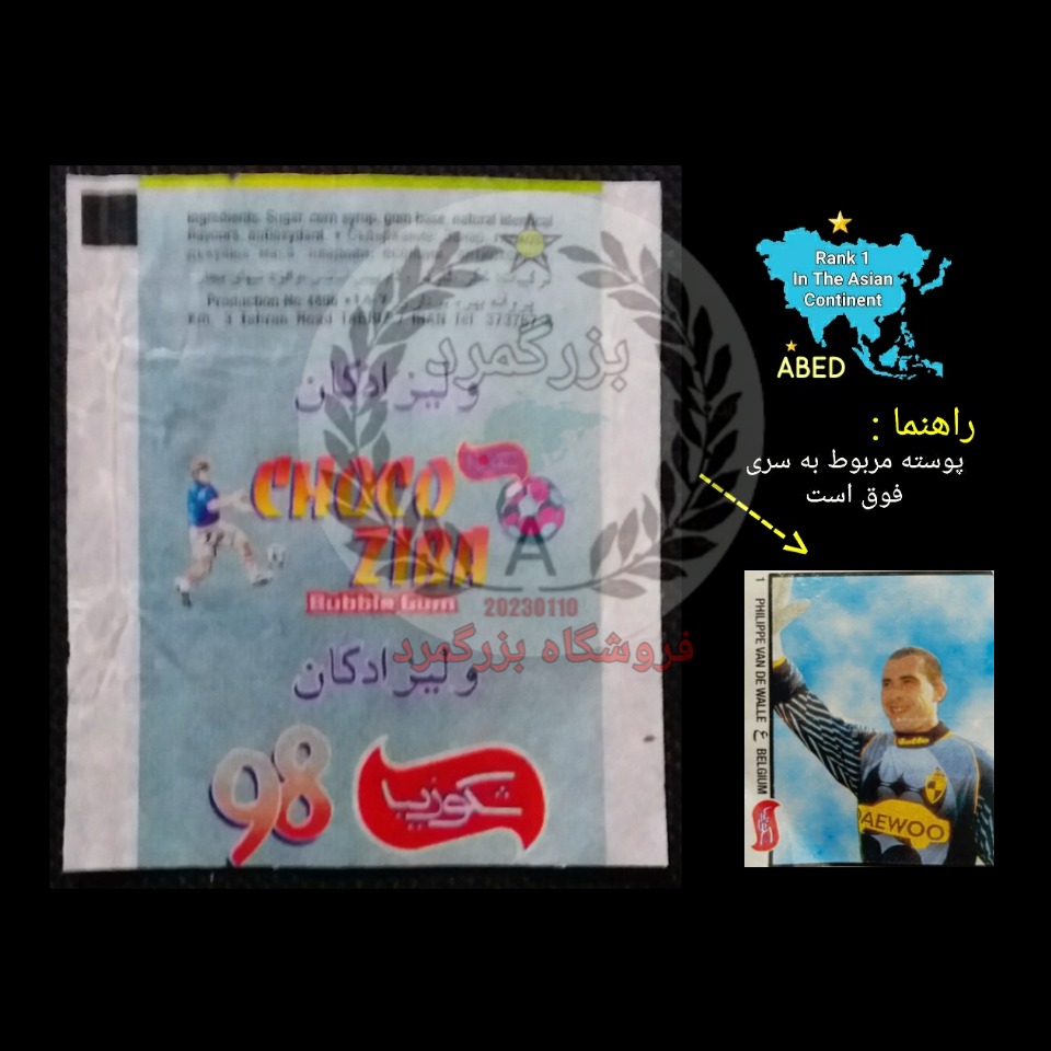 پوسته آدامس شکوزیبا بزرگ (شکو زیبا 98) نایاب