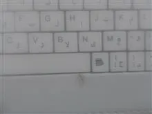 کیف