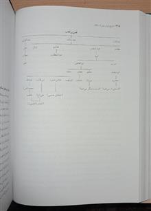 تاریخ