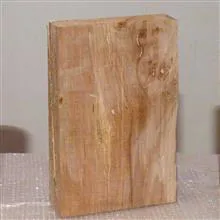 تخته