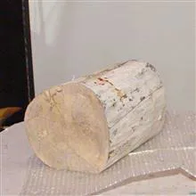 زیر