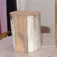 زیر