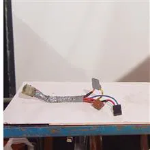 مغزی