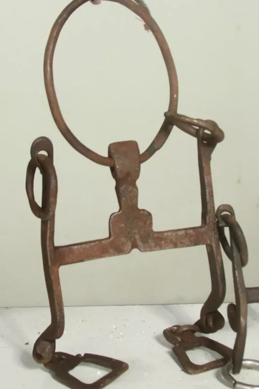 دهنه ی اسب قدیمی  طبق عکسها