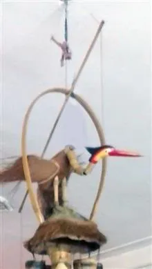 بسیار