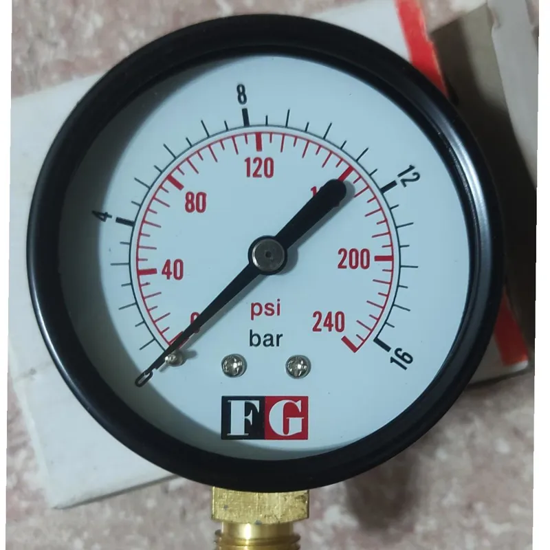 گیج فشار ایستاده 16 بار خشک 6 سانتی متر اف جی FG