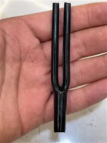 وارنیش