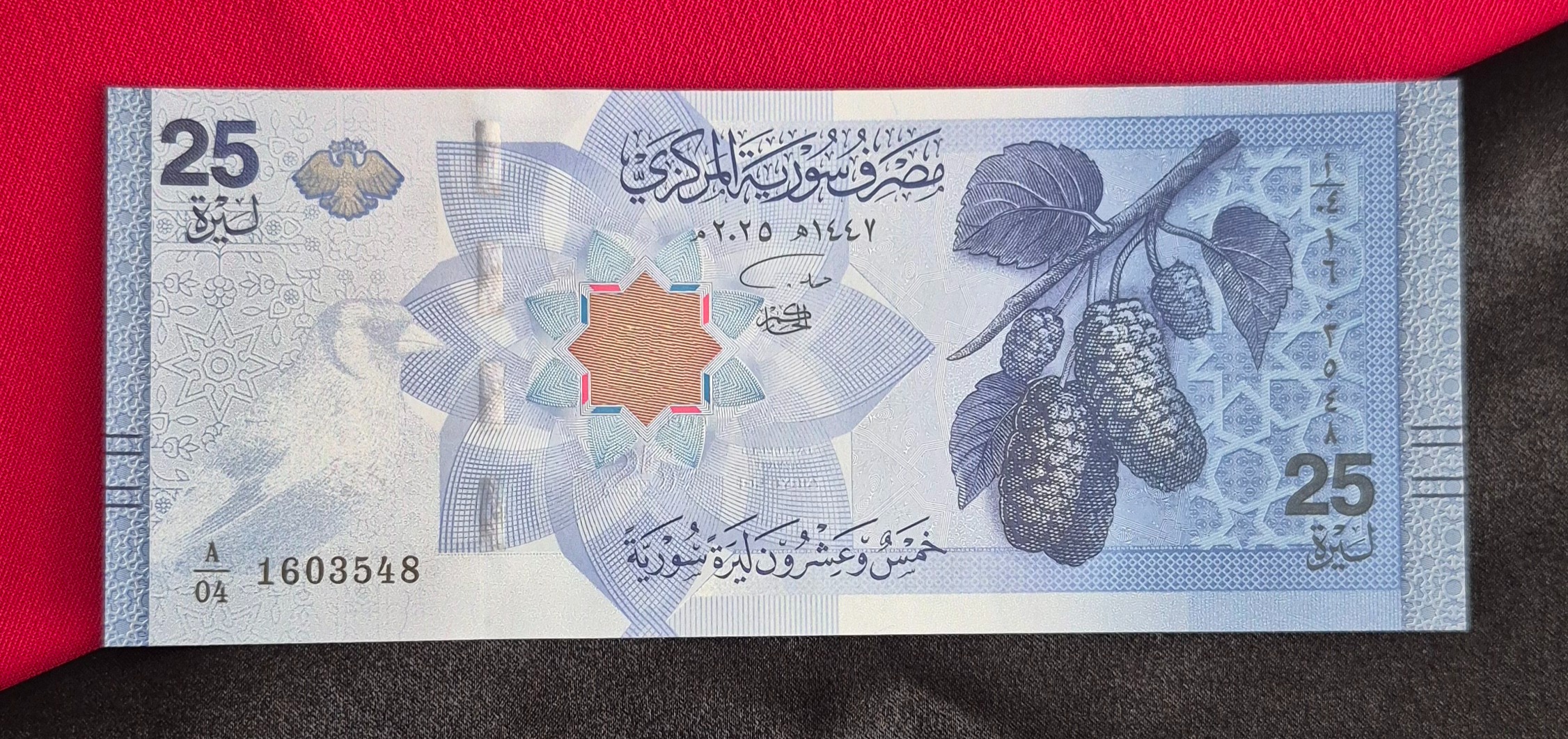 25 لیره جدید سوریه 2025 گالری سعید