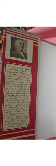 گرگ