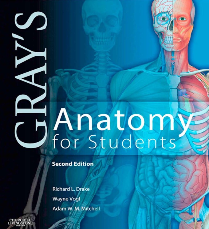 کتاب گریز آناتومی Grays Anatomy 2nd Edition