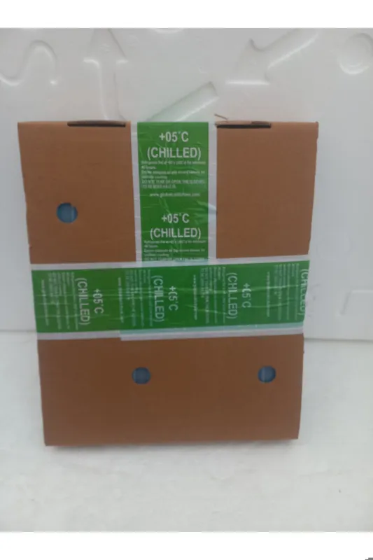 دو عدد یخ خشک مسافرتی GCCS-1000g هر عدد یک لیتر