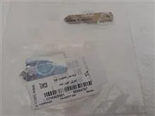 مغزی