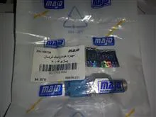 فشنگی