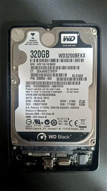 WD