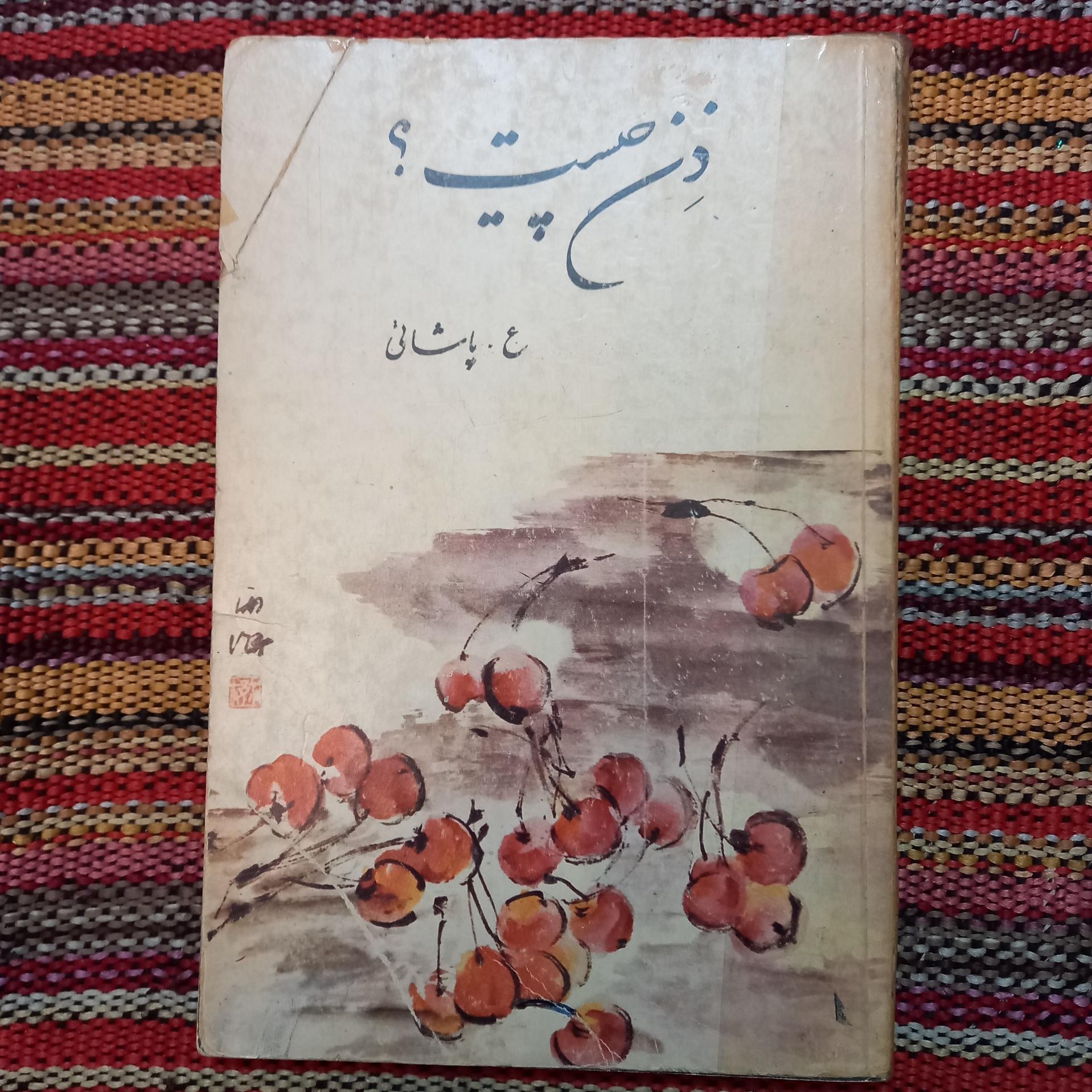 ذن چیست ع پاشائی