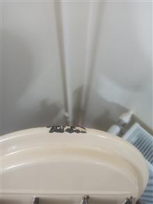 چهار