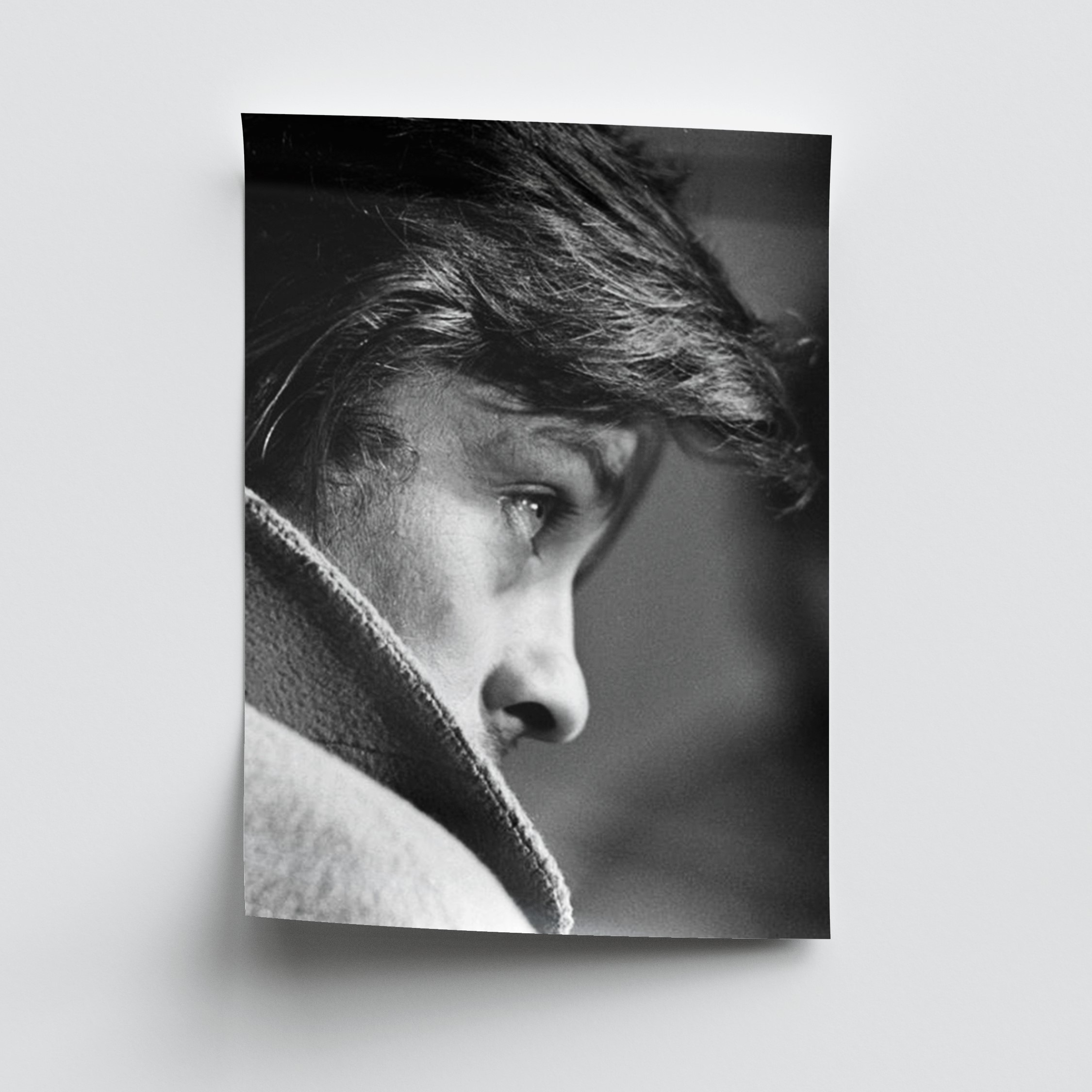 پوستر هنرمندان سایز A3