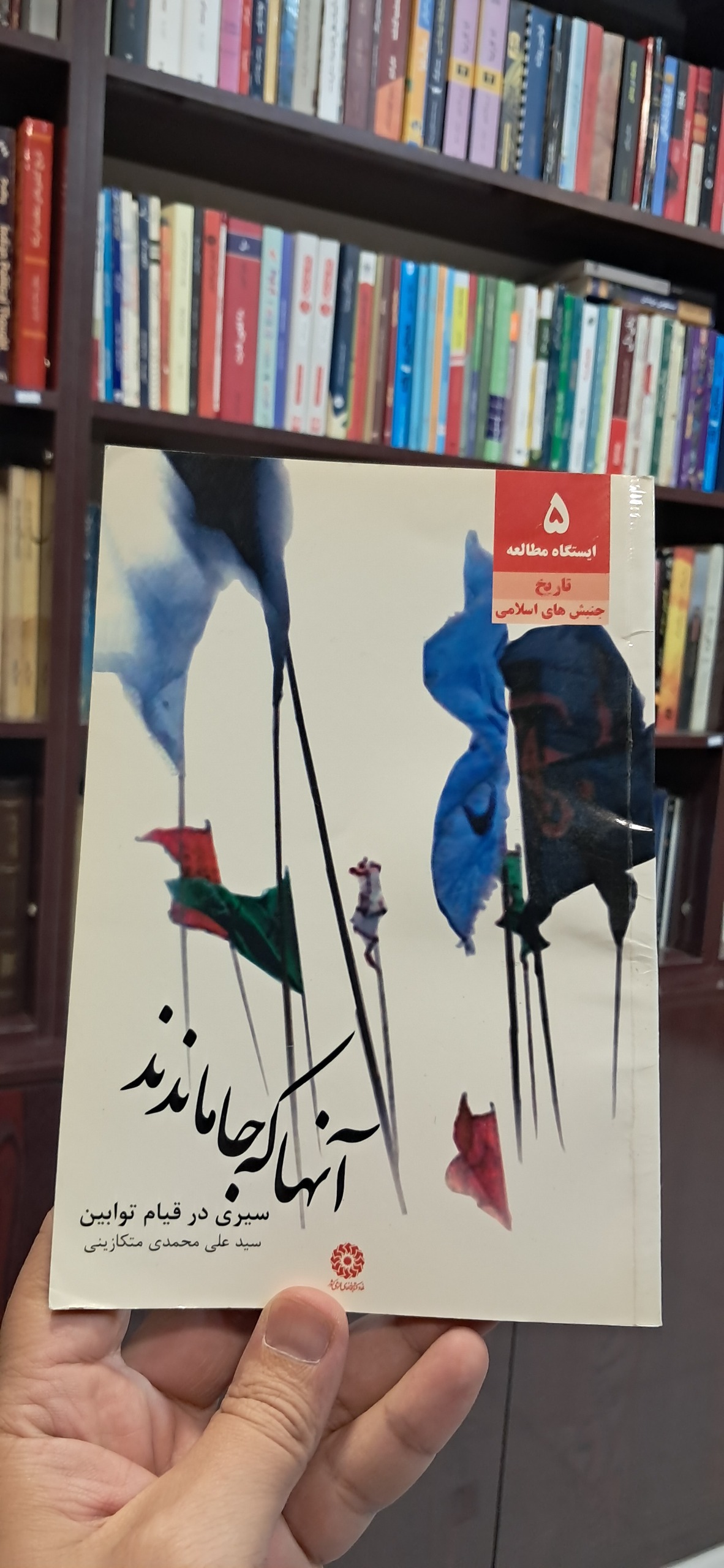 آنها که جا ماندند