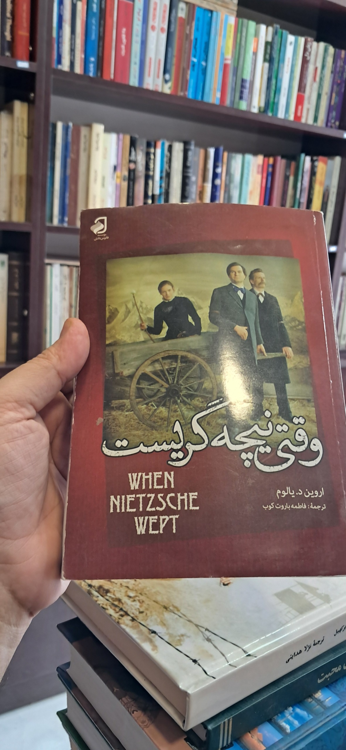 وقتی نیچه گریست