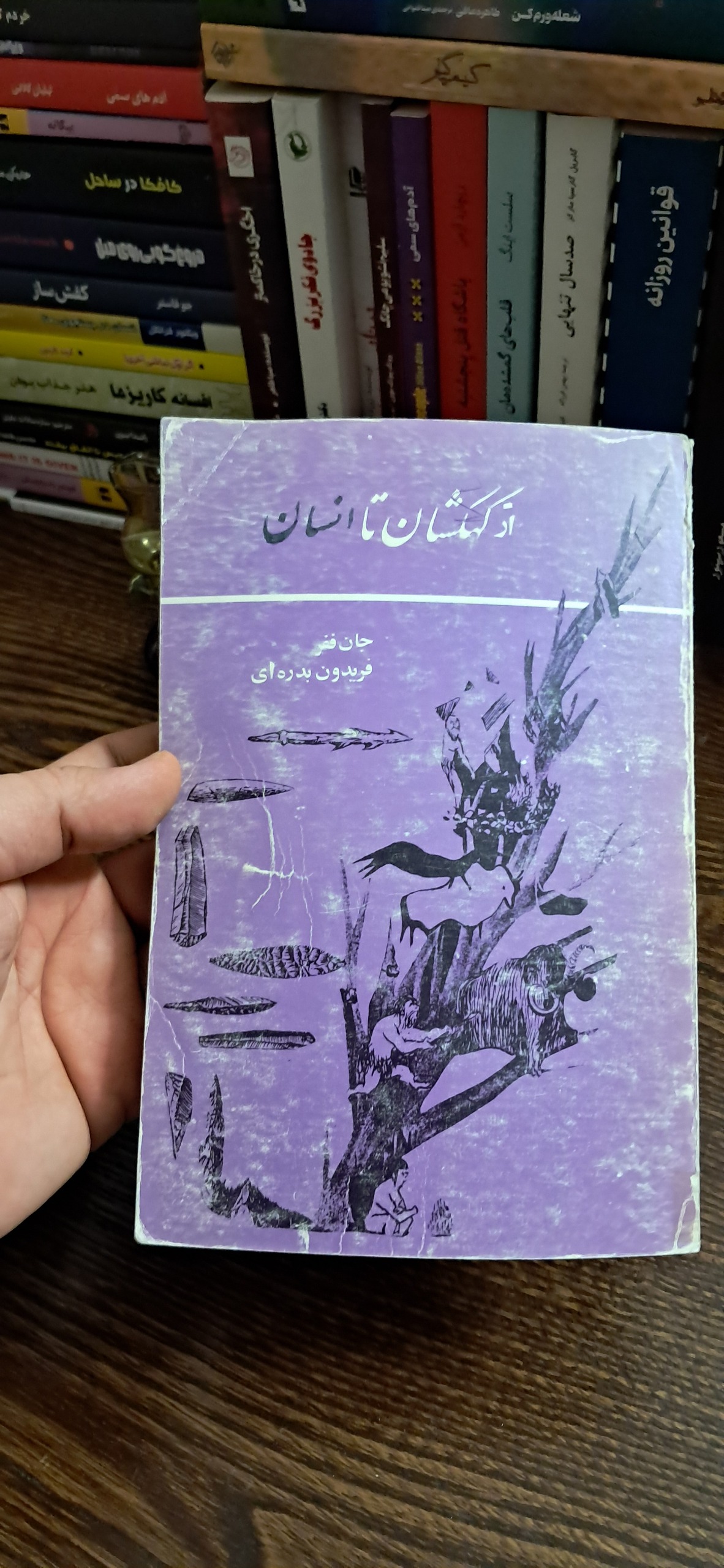 از کهکشان تا انسان