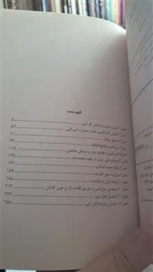 میرزا