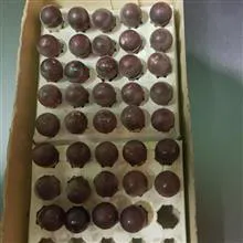 لامپ