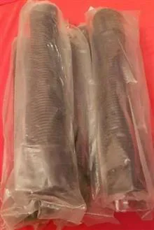 خرطومی