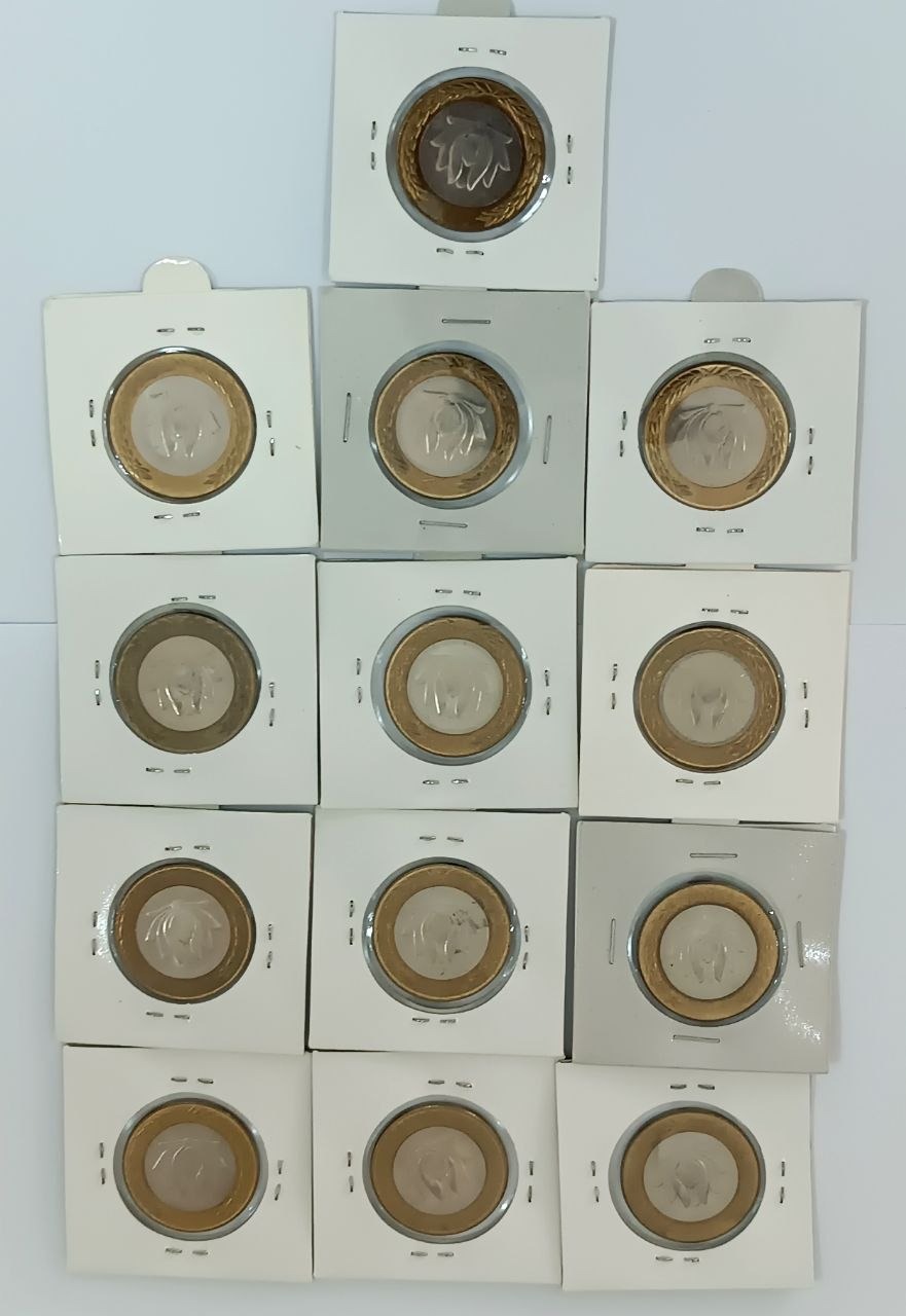 سری بانکی 250 ریال متال طبق توضیح