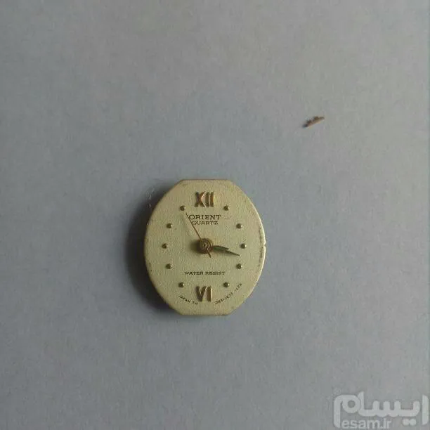 موتور معیوب و صفحه  اورینت زنانه (کد - 1053)