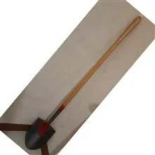 بیل