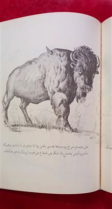 شکارچی