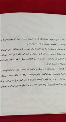 سنجاب