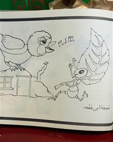 رنگ