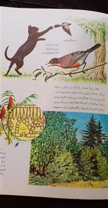 شگفتیهای