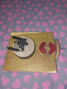 تخته