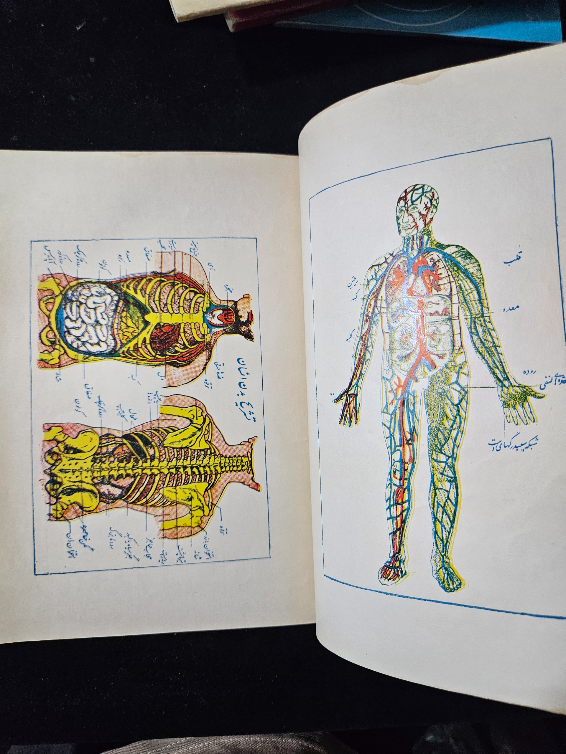 کمکهای نخستین با مهر دستی نخست وزیری