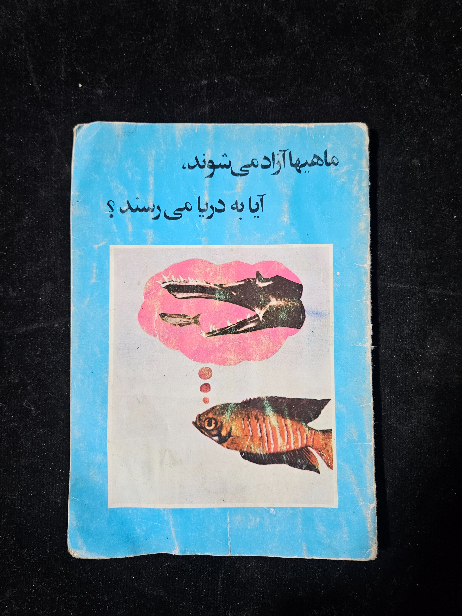 ماهی ها آزاد میشوند آیا به دریا میروند؟