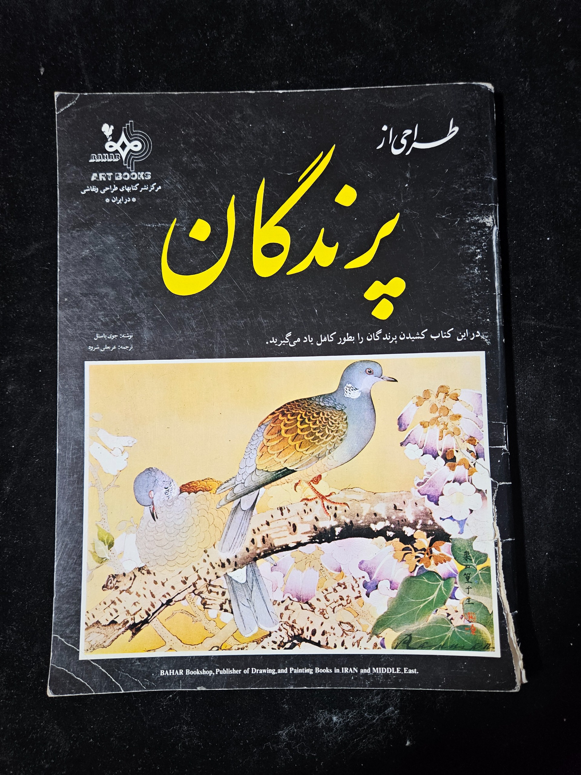 طراحی از پرندگان کتاب قطع بزرگ میباشد