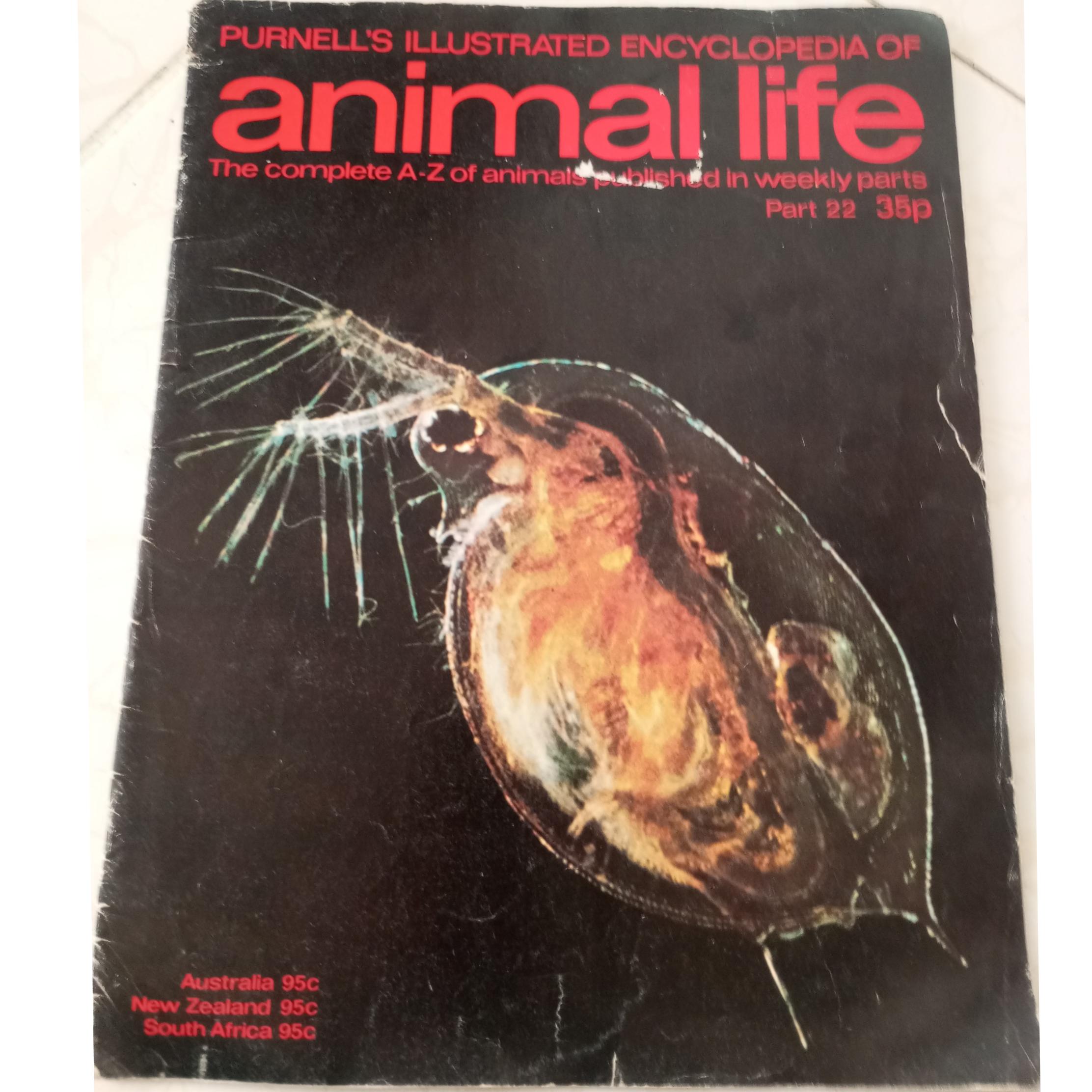 مجله خارجی حیوانات