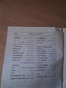 دانستنیهای