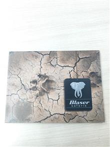 Blaser