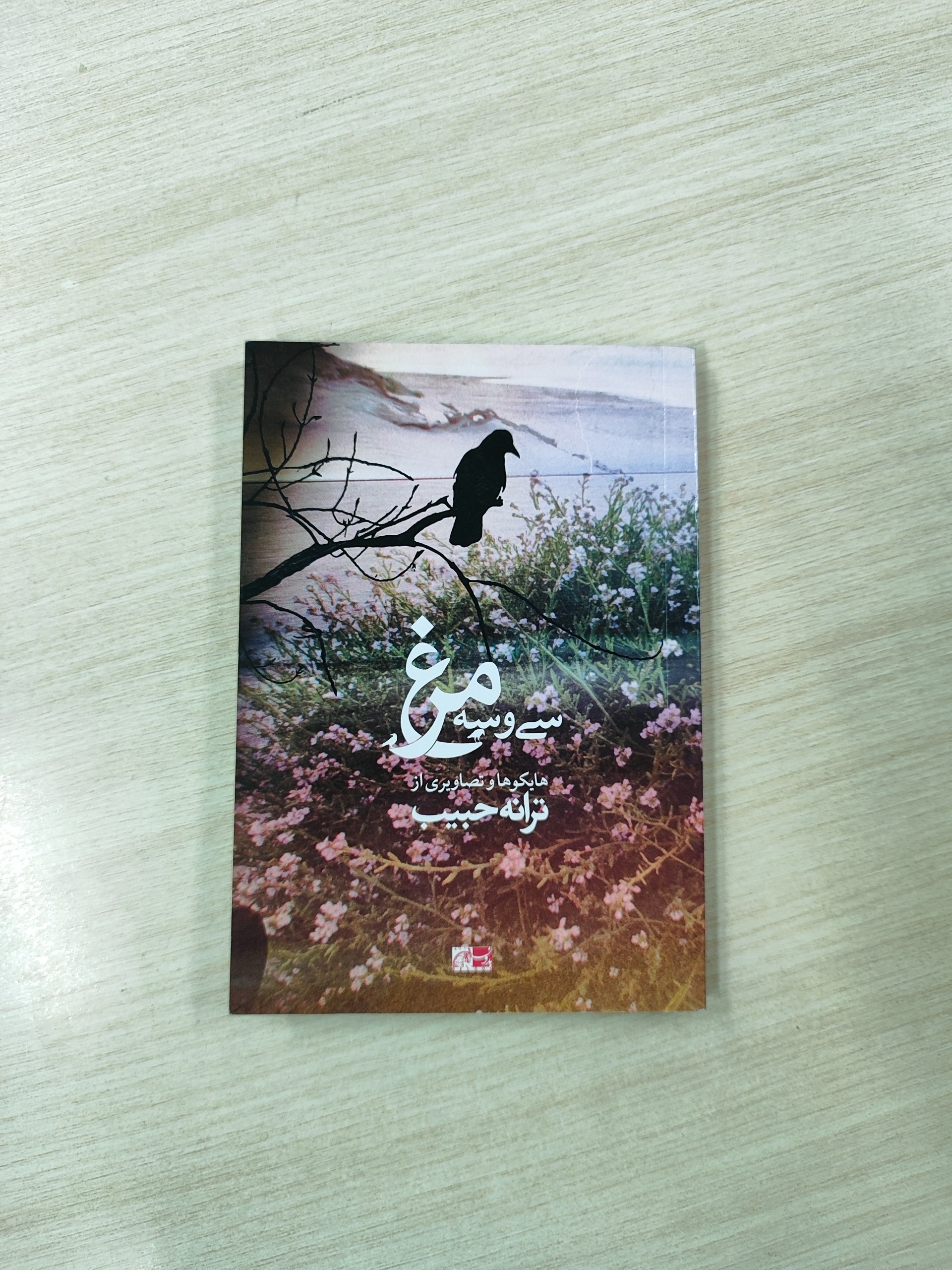 سی و سه مرغ _ هایکوها و تصاویری از ترانه حبیب