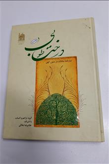 درخت