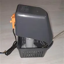 سبد